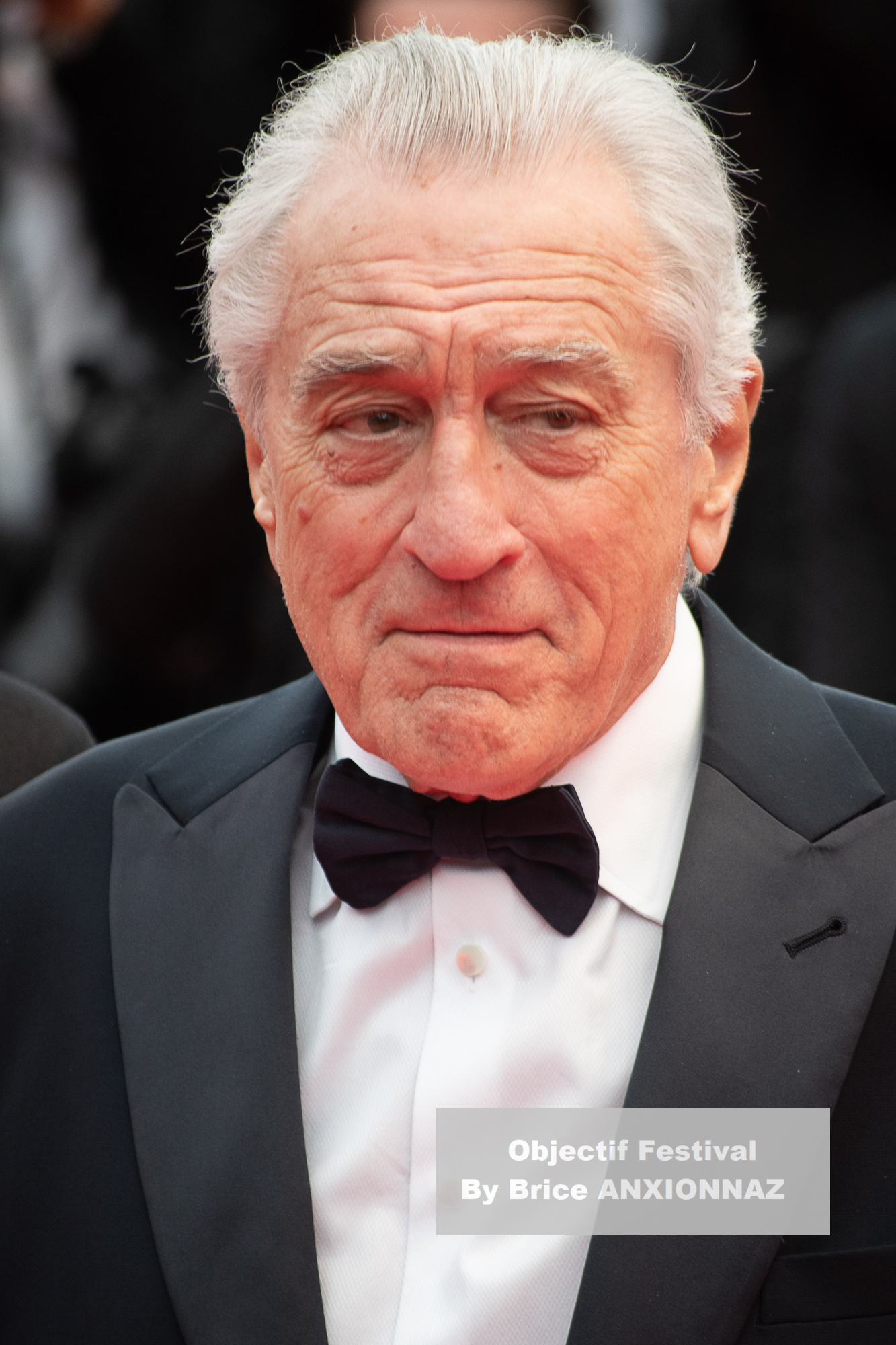 Robert De Niro / 78th Cannes International Film Festival / Objectif Festival by Brice ANXIONNAZ